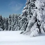 Haus Am Oberen Eschenbacher Teich بيت للعطل *