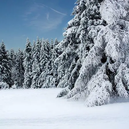 Haus Am Oberen Eschenbacher Teich Ferienhaus *