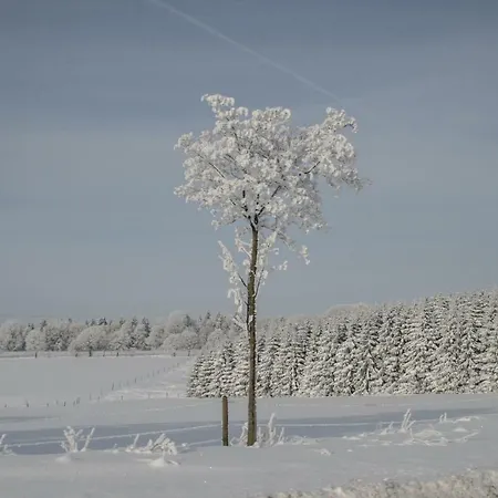 Haus Am Oberen Eschenbacher Teich Сasa de vacaciones *